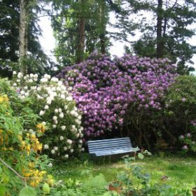 Garten der Ferienwohnungen Brodhun Garten der Ferienwohnungen Brodhun